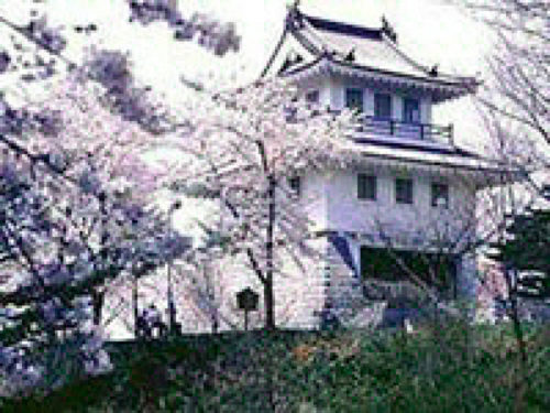 赤そば畑 田村市観光サイト 本当の地球が見られる場所